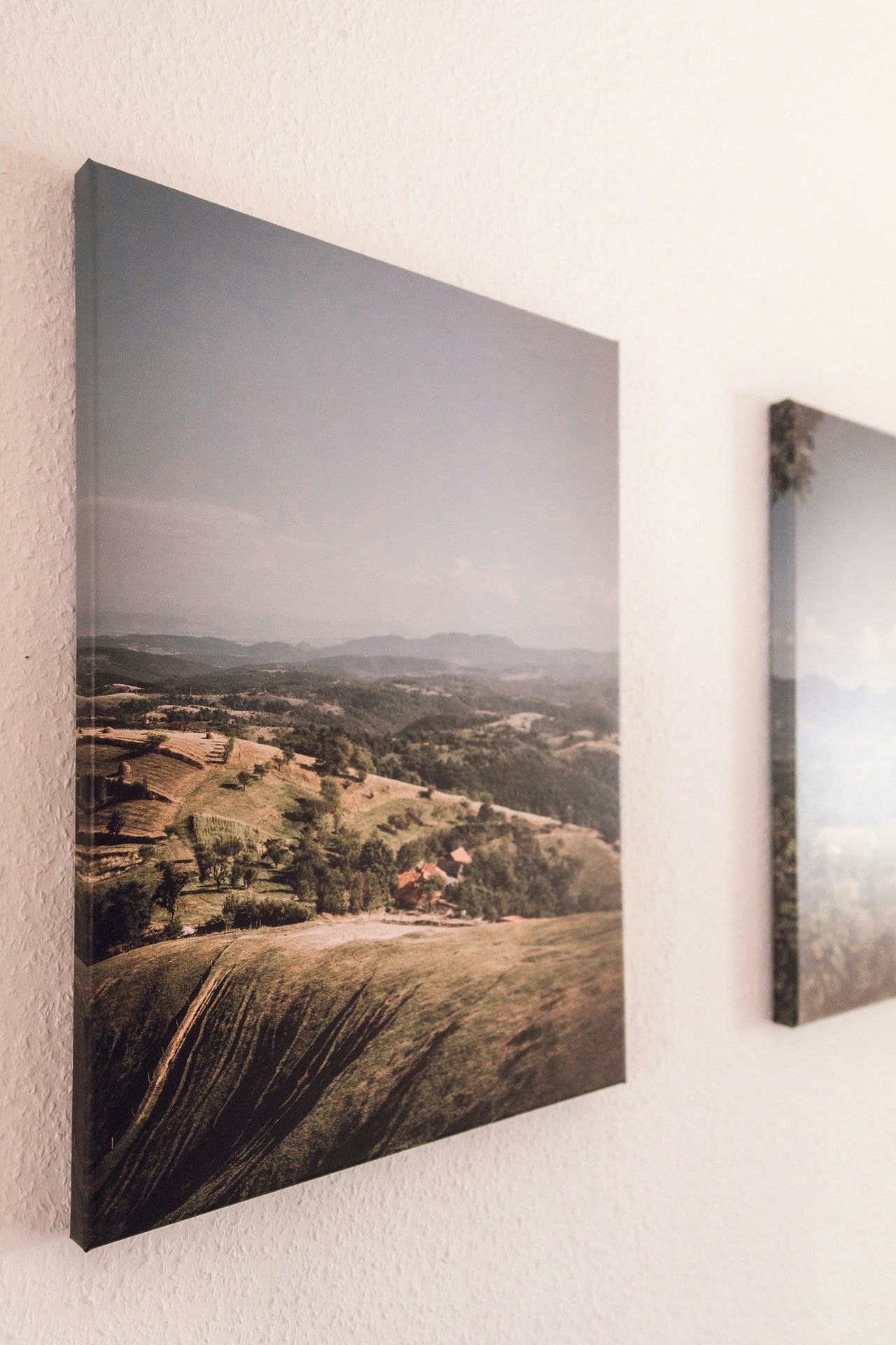Canvas and signage printing